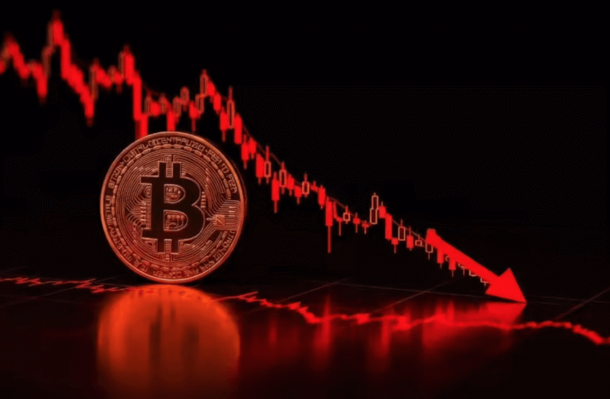 Market Crashes in Crypto History